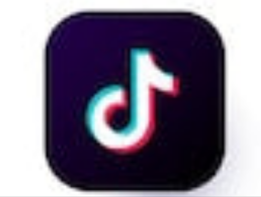 Vip1 Tiktok ( plus de 3000abonnés ou plus , déblocage de visibilité et elevation des vues sur les anciennes vidéos)